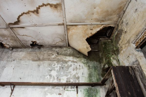 Water Damage Service in Oceanside