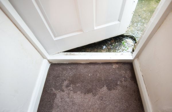 Wet Carpet Restoration in Oceanside
