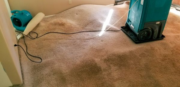 Carpet Water Extraction in Oceanside