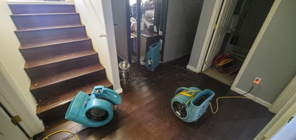 Water Damage Remediation in Oceanside