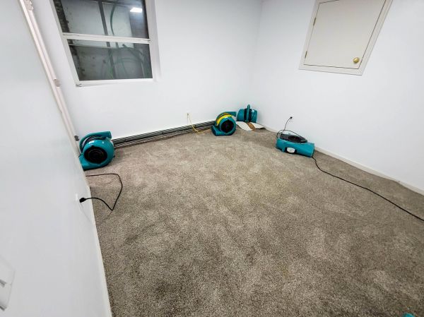 Flood Restoration Service in Oceanside