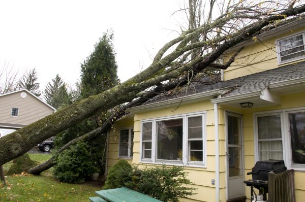 Hurricane Damage Repair in Oceanside