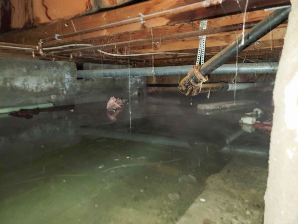 Crawlspace Water Restoration in Oceanside